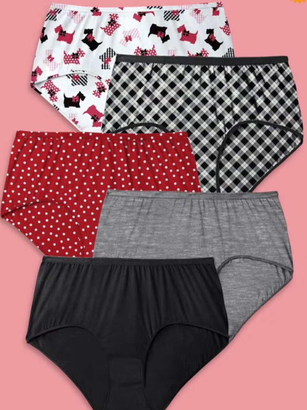 Comfort Choice 5 Pack Brief Underwear- NWT